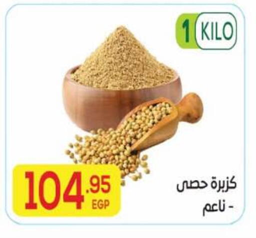 available at El Mahallawy Market  in Egypt - Cairo