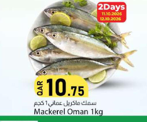 available at دانا ماركت in قطر - الوكرة
