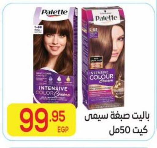 available at El Mahallawy Market  in Egypt - Cairo