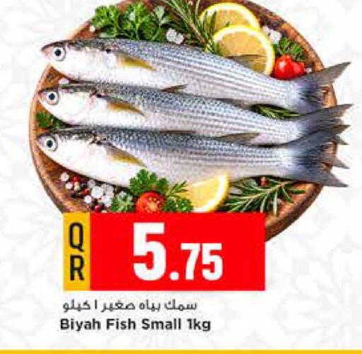available at مرزا هايبرماركت in قطر - الخور