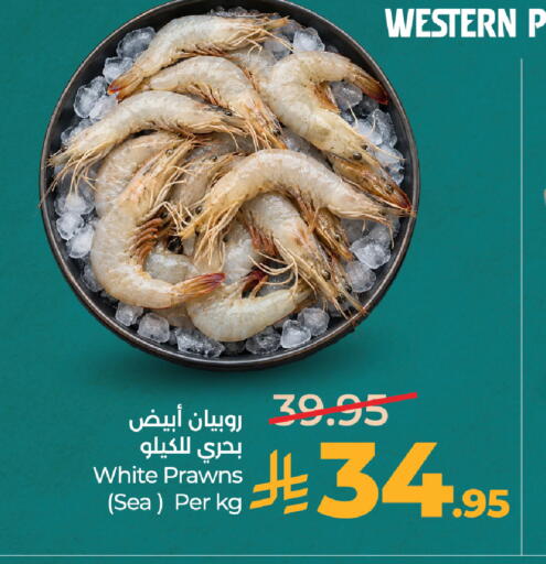 available at لولو هايبرماركت in مملكة العربية السعودية, السعودية, سعودية - المدينة المنورة