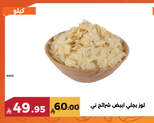 available at Forat Garden in KSA, Saudi Arabia, Saudi - Mecca