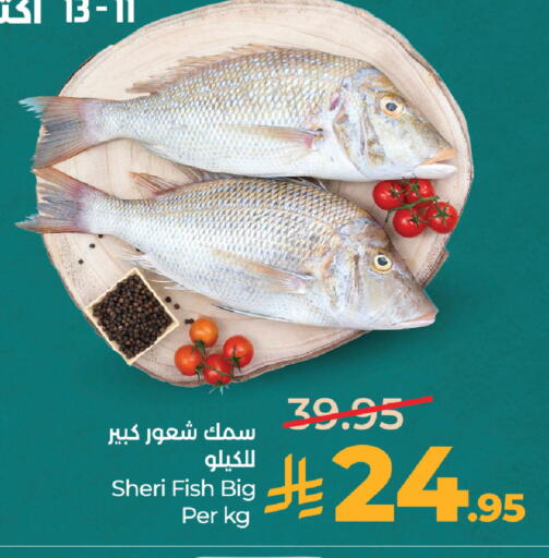 available at لولو هايبرماركت in مملكة العربية السعودية, السعودية, سعودية - المدينة المنورة