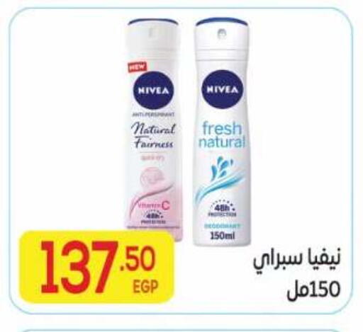 available at El Mahallawy Market  in Egypt - Cairo
