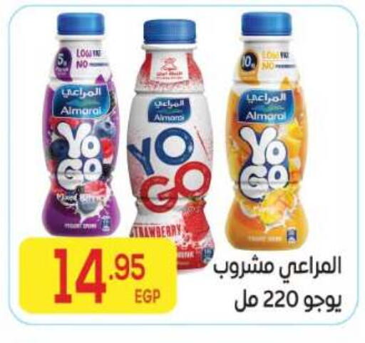 available at El Mahallawy Market  in Egypt - Cairo