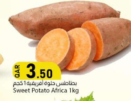 Sweet Potato available at دانا ماركت in قطر - الوكرة