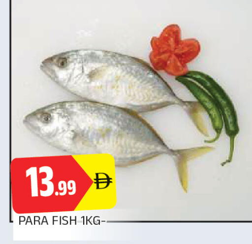 available at المدينة in الإمارات العربية المتحدة , الامارات - الشارقة / عجمان