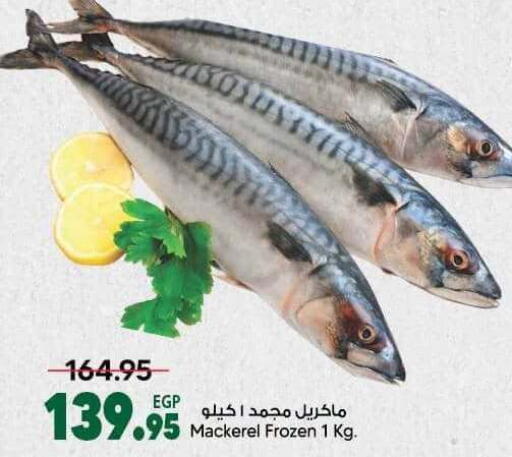 available at سبينس in Egypt - القاهرة