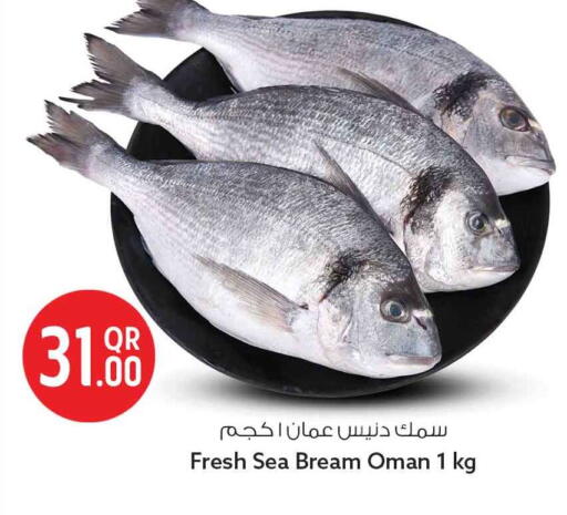 available at سفاري هايبر ماركت in قطر - الخور