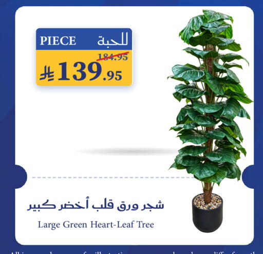 available at ميرا مارت مول in مملكة العربية السعودية, السعودية, سعودية - جدة