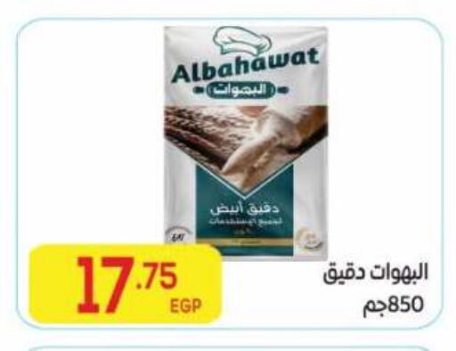 available at El Mahallawy Market  in Egypt - Cairo