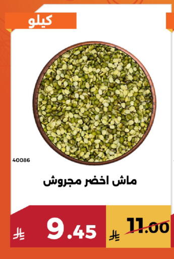 available at Forat Garden in KSA, Saudi Arabia, Saudi - Mecca