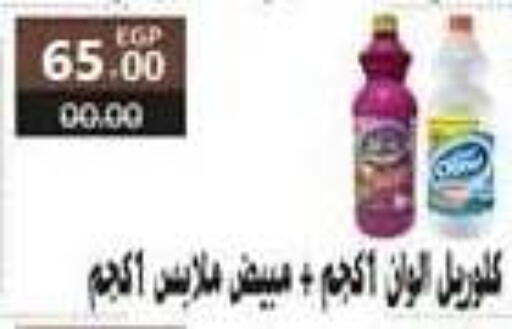 available at El Mahallawy Market  in Egypt - Cairo