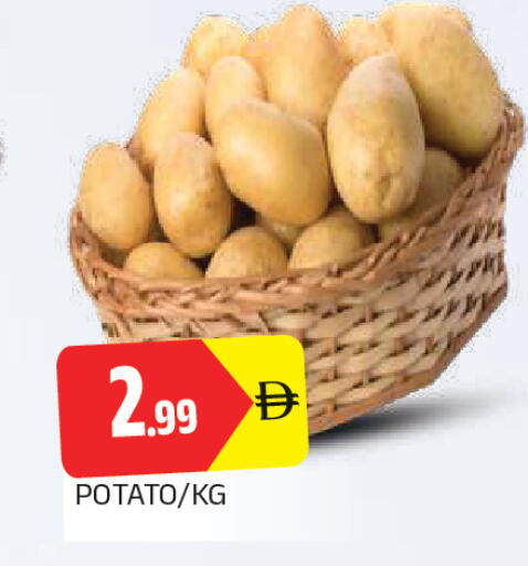 Potato available at المدينة in الإمارات العربية المتحدة , الامارات - الشارقة / عجمان