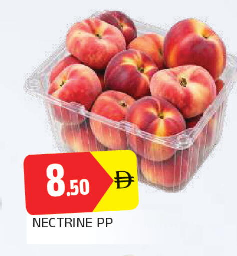 available at المدينة in الإمارات العربية المتحدة , الامارات - الشارقة / عجمان