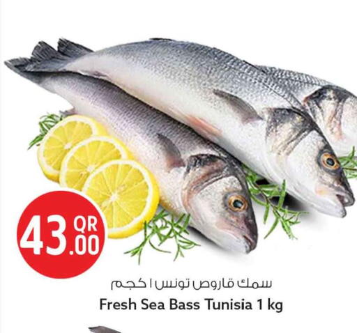 available at سفاري هايبر ماركت in قطر - الدوحة