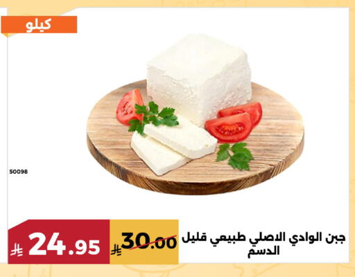 available at Forat Garden in KSA, Saudi Arabia, Saudi - Mecca