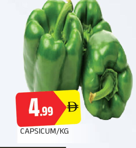 Capsicum available at المدينة in الإمارات العربية المتحدة , الامارات - الشارقة / عجمان