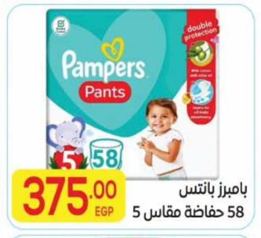 available at El Mahallawy Market  in Egypt - Cairo