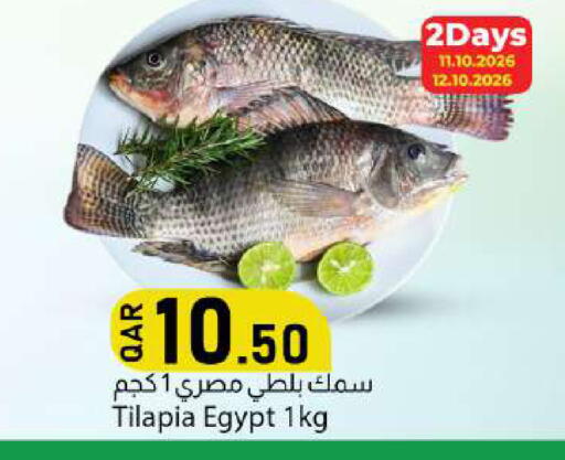 available at دانا ماركت in قطر - الوكرة