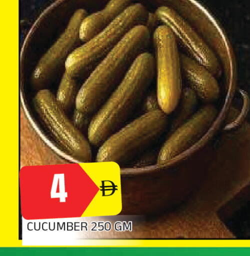 Cucumber available at المدينة in الإمارات العربية المتحدة , الامارات - الشارقة / عجمان