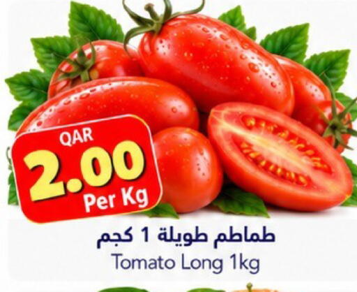 Tomato available at جلف فود سنتر in قطر - الدوحة