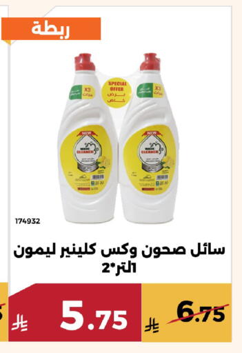 available at Forat Garden in KSA, Saudi Arabia, Saudi - Mecca