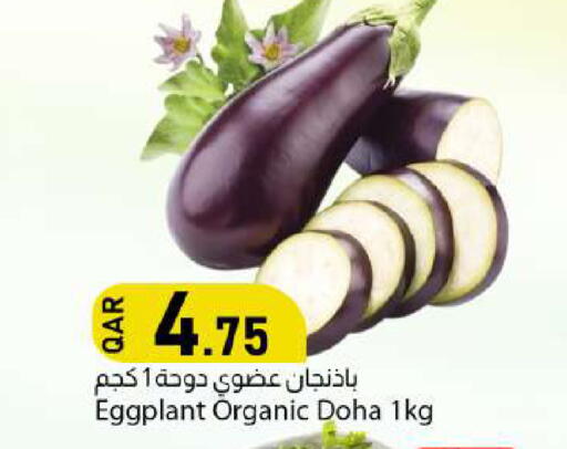Eggplant from Qatar available at دانا ماركت in قطر - الوكرة