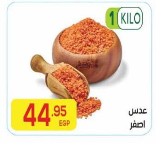 available at El Mahallawy Market  in Egypt - Cairo