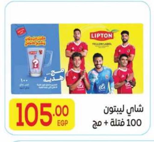 available at El Mahallawy Market  in Egypt - Cairo