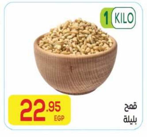 available at El Mahallawy Market  in Egypt - Cairo