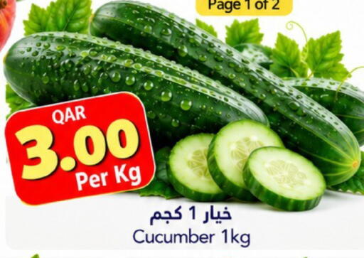 Cucumber available at جلف فود سنتر in قطر - الدوحة