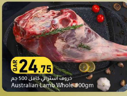 available at دانا ماركت in قطر - الوكرة