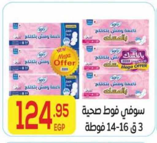 available at El Mahallawy Market  in Egypt - Cairo