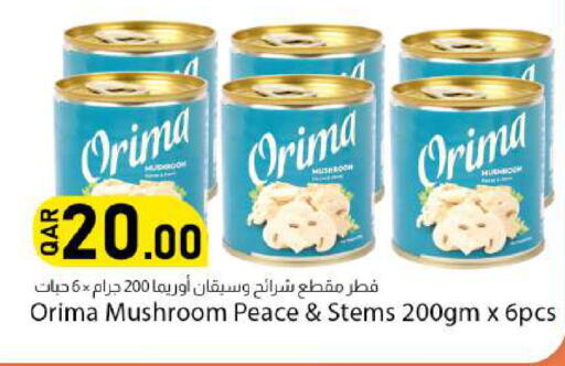 Mushroom available at دانا ماركت in قطر - الوكرة