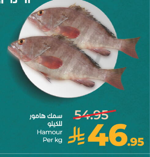 available at لولو هايبرماركت in مملكة العربية السعودية, السعودية, سعودية - المدينة المنورة