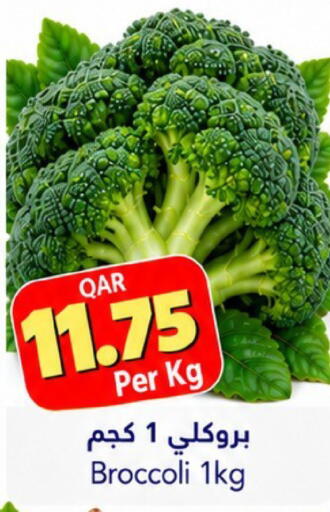 Broccoli available at جلف فود سنتر in قطر - الدوحة
