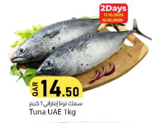 available at دانا ماركت in قطر - الوكرة