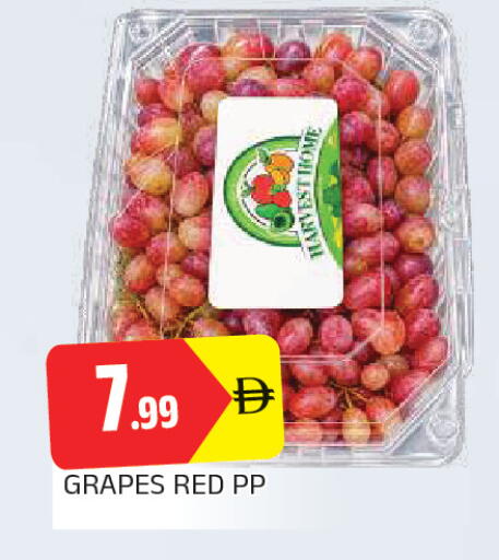 Grapes available at المدينة in الإمارات العربية المتحدة , الامارات - الشارقة / عجمان