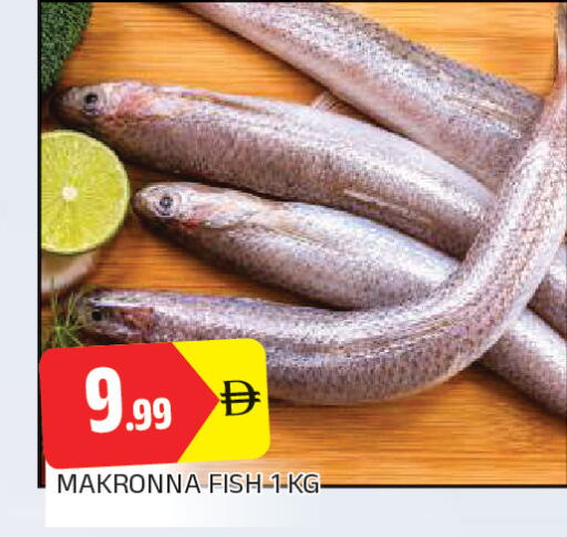 available at المدينة in الإمارات العربية المتحدة , الامارات - الشارقة / عجمان