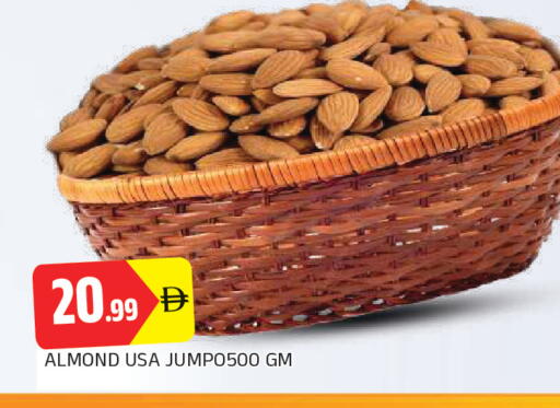 available at المدينة in الإمارات العربية المتحدة , الامارات - الشارقة / عجمان