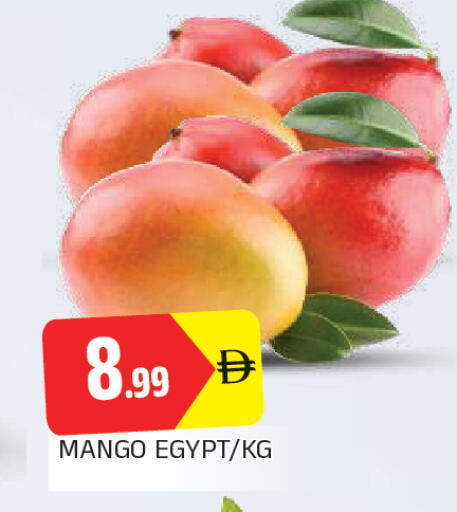 Mango from Egypt available at المدينة in الإمارات العربية المتحدة , الامارات - الشارقة / عجمان
