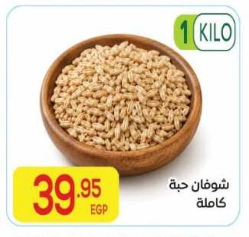 available at El Mahallawy Market  in Egypt - Cairo