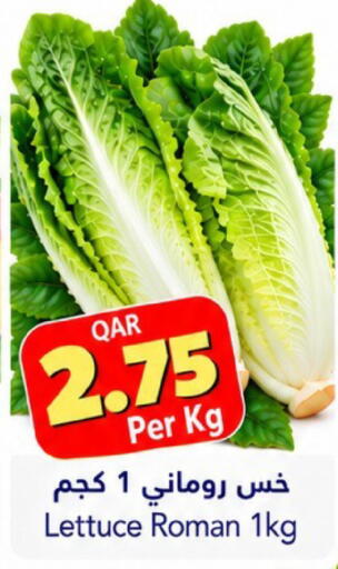 Lettuce available at جلف فود سنتر in قطر - الدوحة