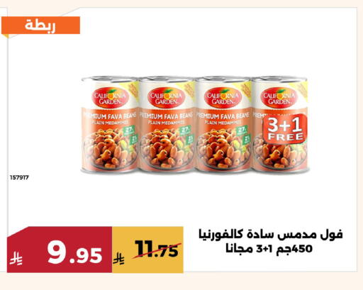 available at Forat Garden in KSA, Saudi Arabia, Saudi - Mecca