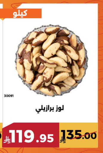 available at Forat Garden in KSA, Saudi Arabia, Saudi - Mecca
