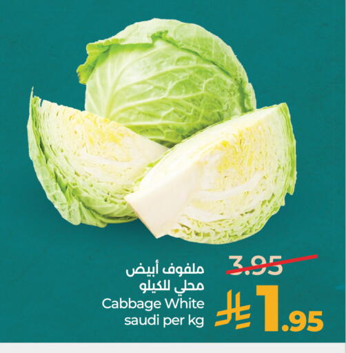 Cabbage from Saudi Arabia available at LULU Hypermarket in KSA, Saudi Arabia, Saudi - Riyadh
