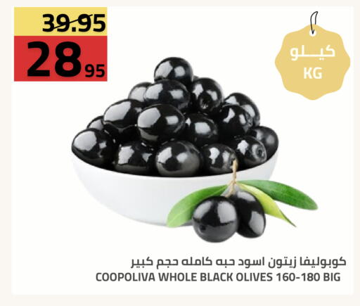 متوفر لدى أسواق أسترا في مملكة العربية السعودية, السعودية, سعودية - تبوك