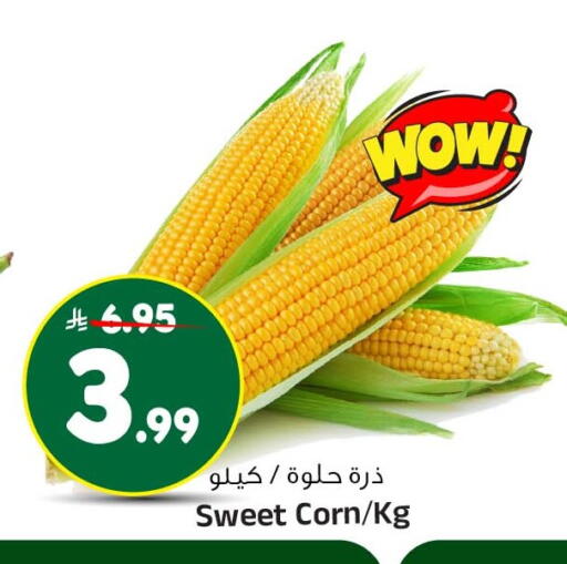 available at المدينة هايبرماركت in مملكة العربية السعودية, السعودية, سعودية - الرياض
