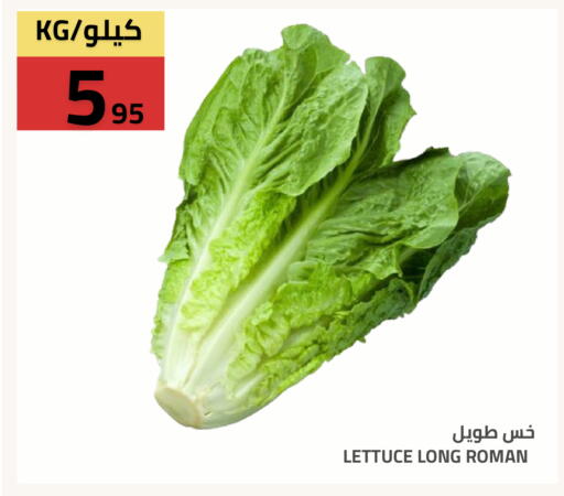 Lettuce متوفر لدى أسواق أسترا في مملكة العربية السعودية, السعودية, سعودية - تبوك